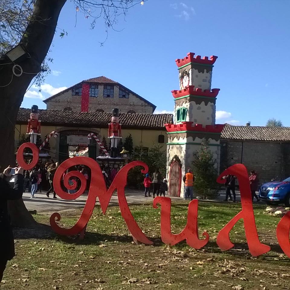 gs2017-169-trikala_ekdromi-001