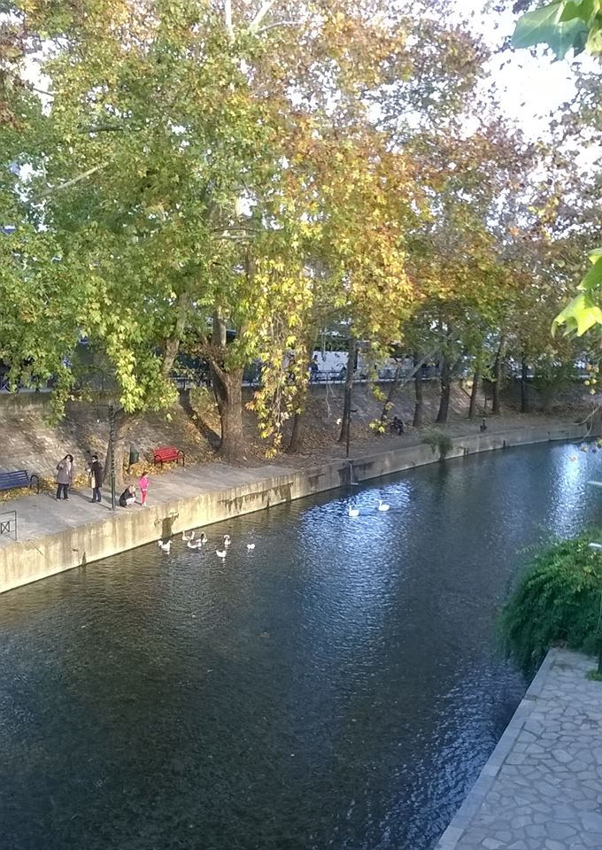 gs2017-169-trikala_ekdromi-002