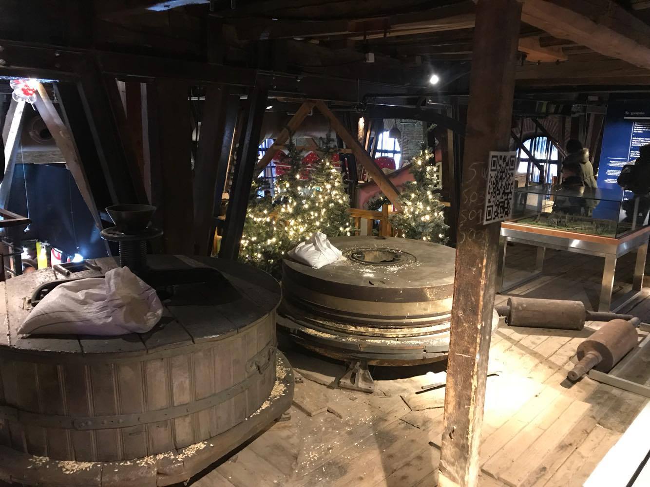 gs2017-169-trikala_ekdromi-008