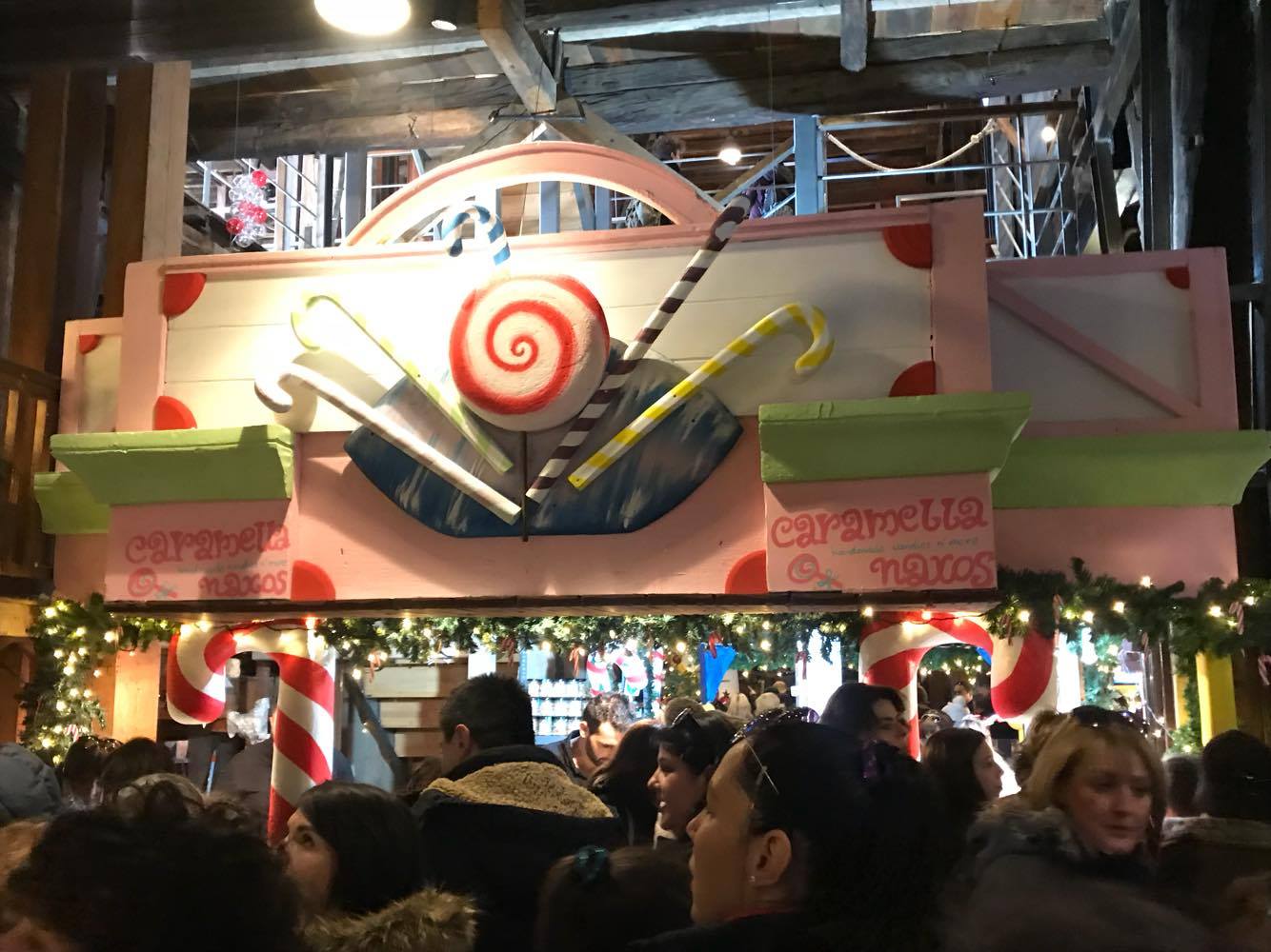 gs2017-169-trikala_ekdromi-011