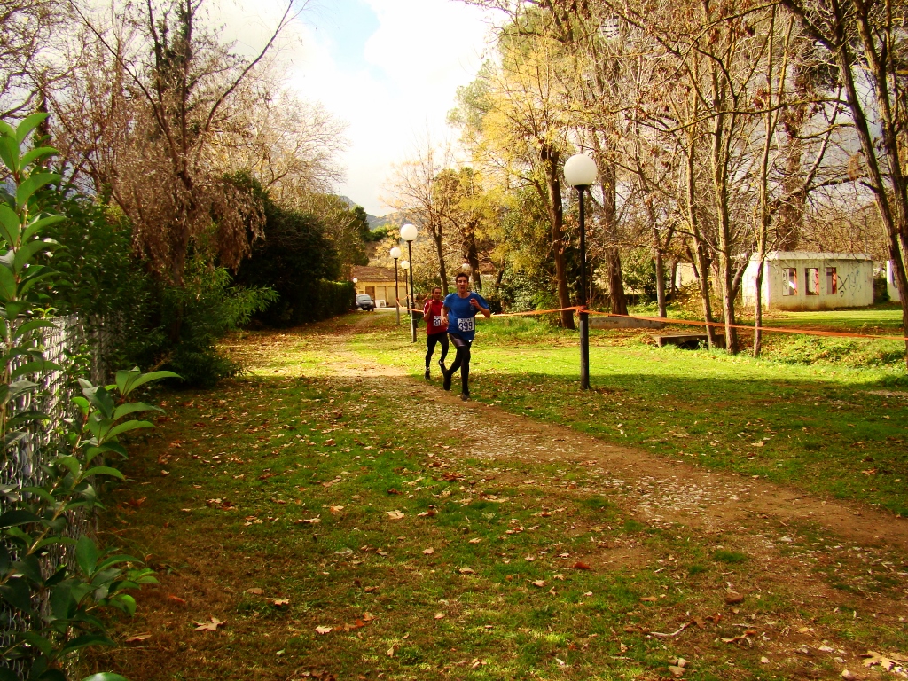 gs2017-171-aliartos-020