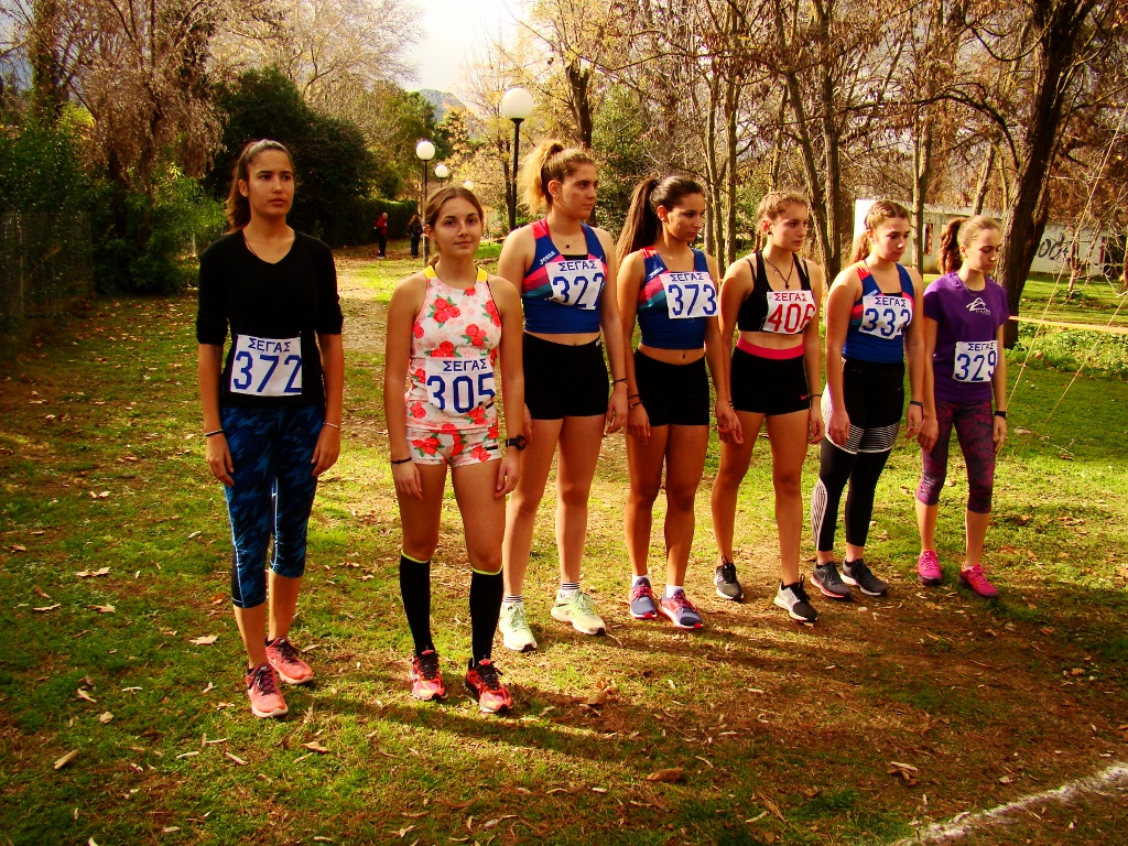 gs2017-171-aliartos-022