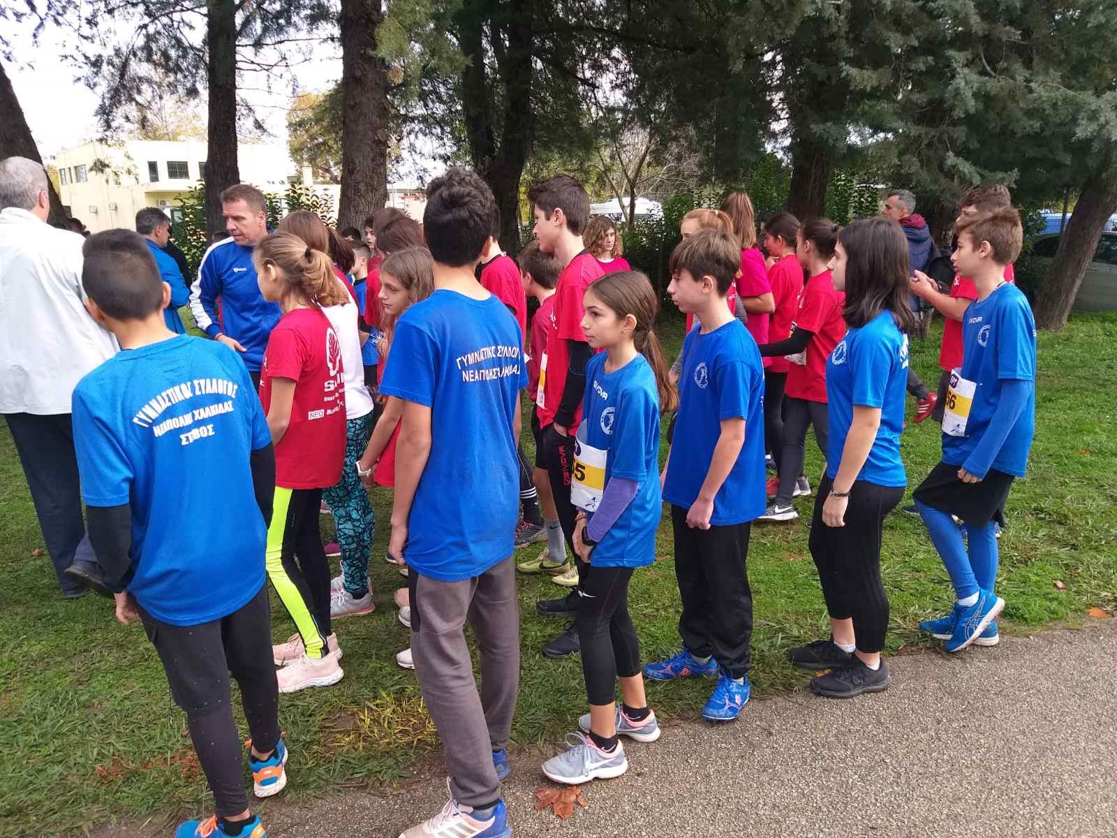 gs2019-251-aliatros-027