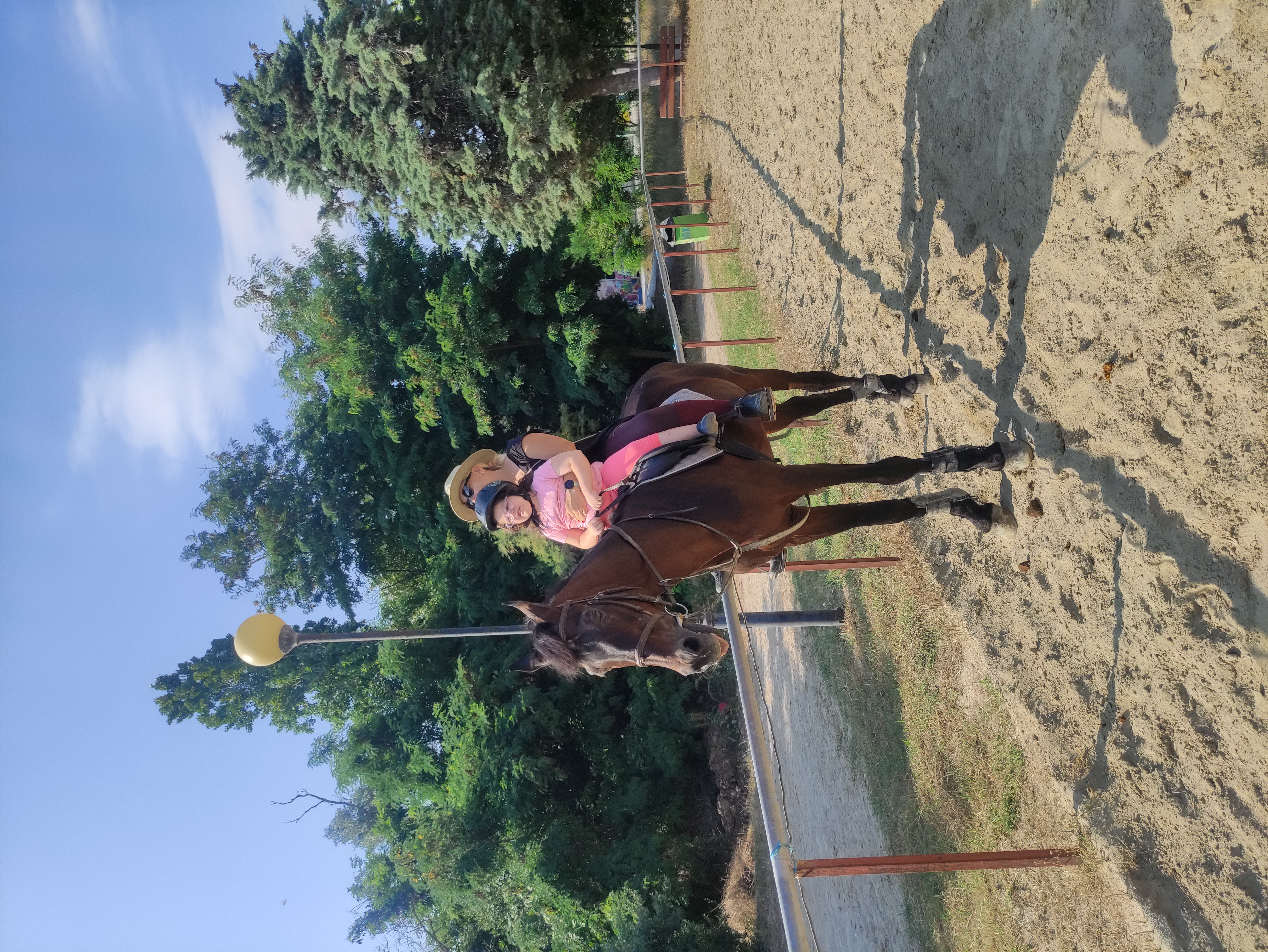 gs2023-353-ippasia-002