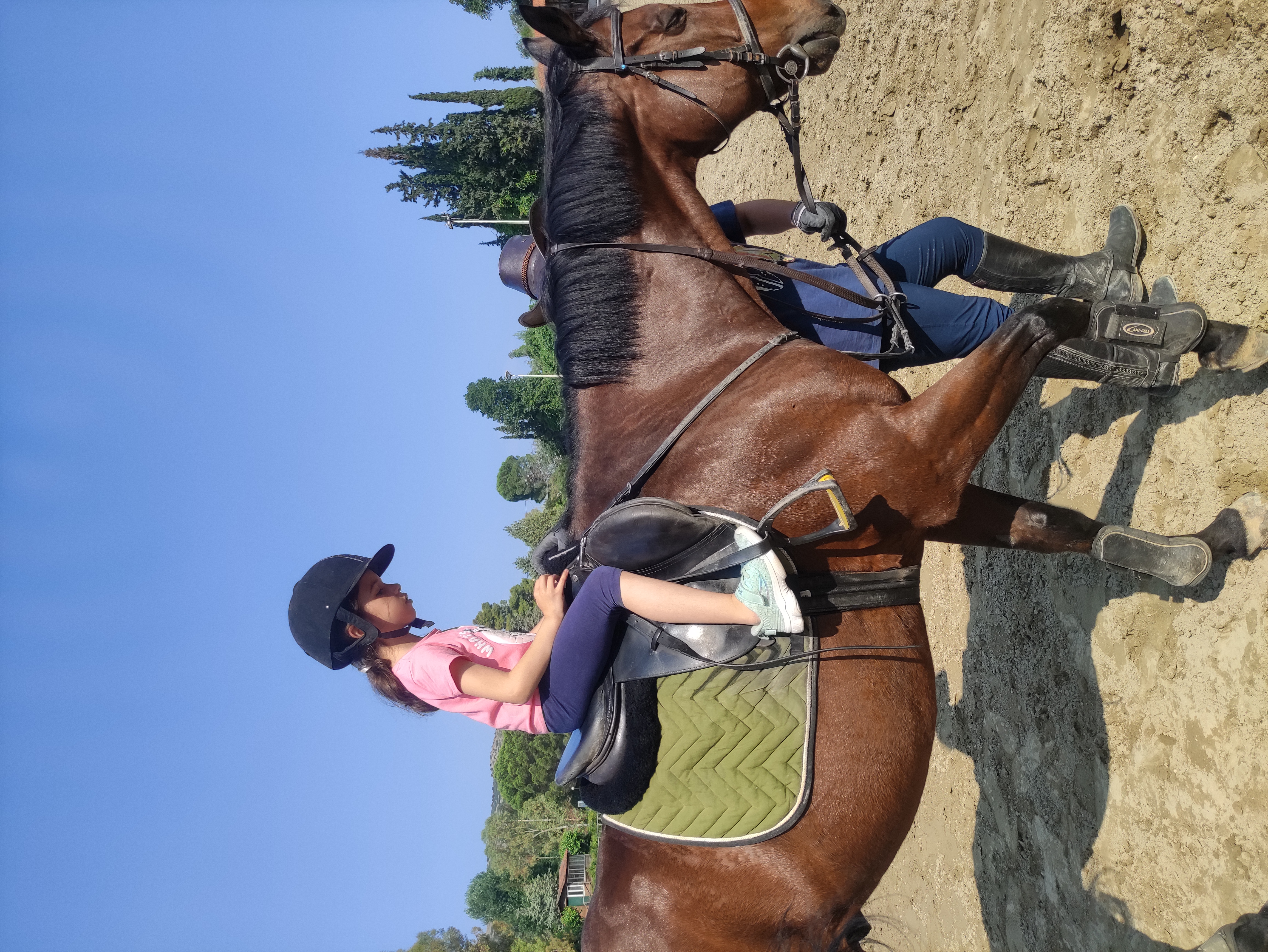 gs2023-353-ippasia-003