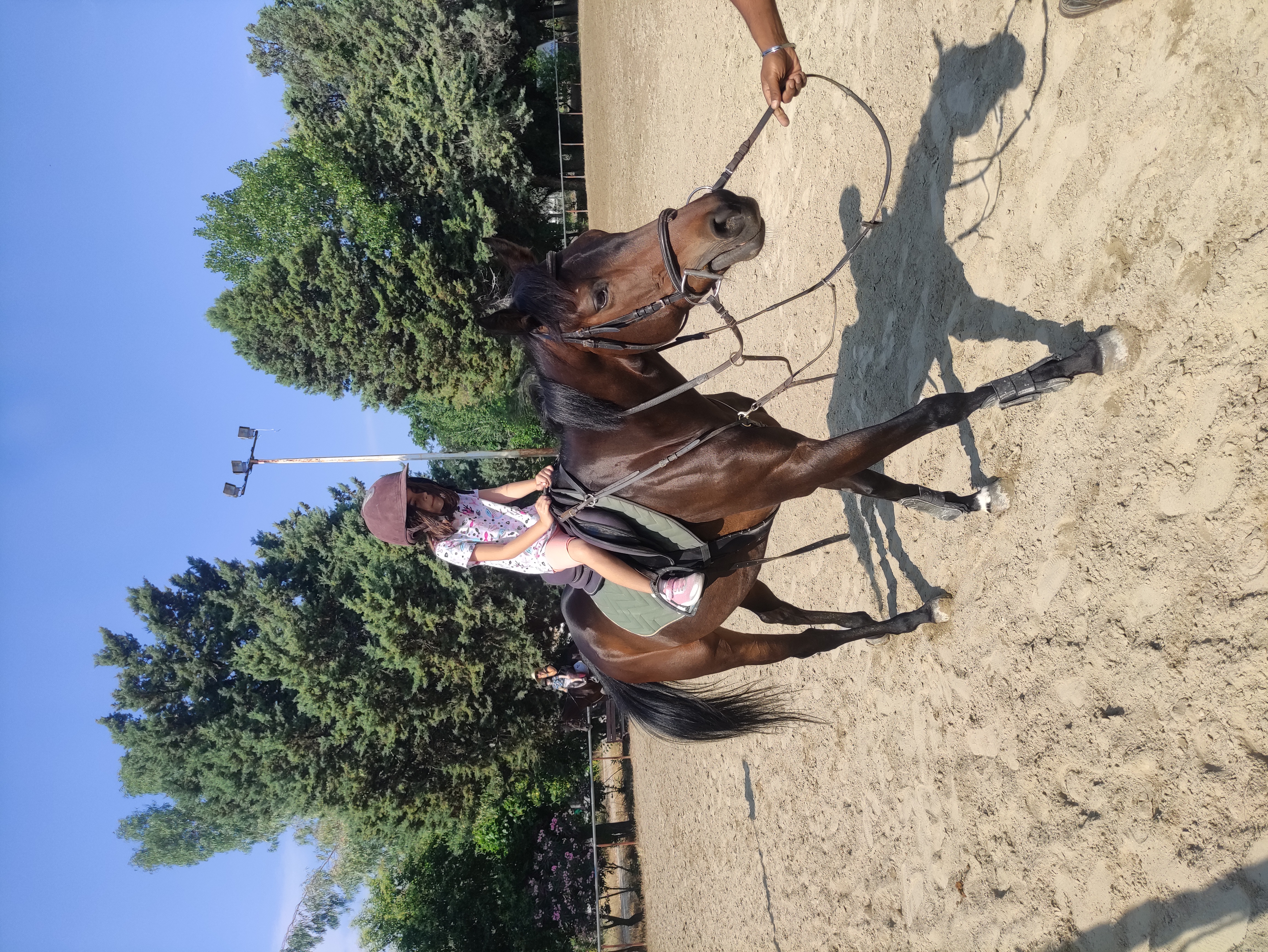 gs2023-353-ippasia-005