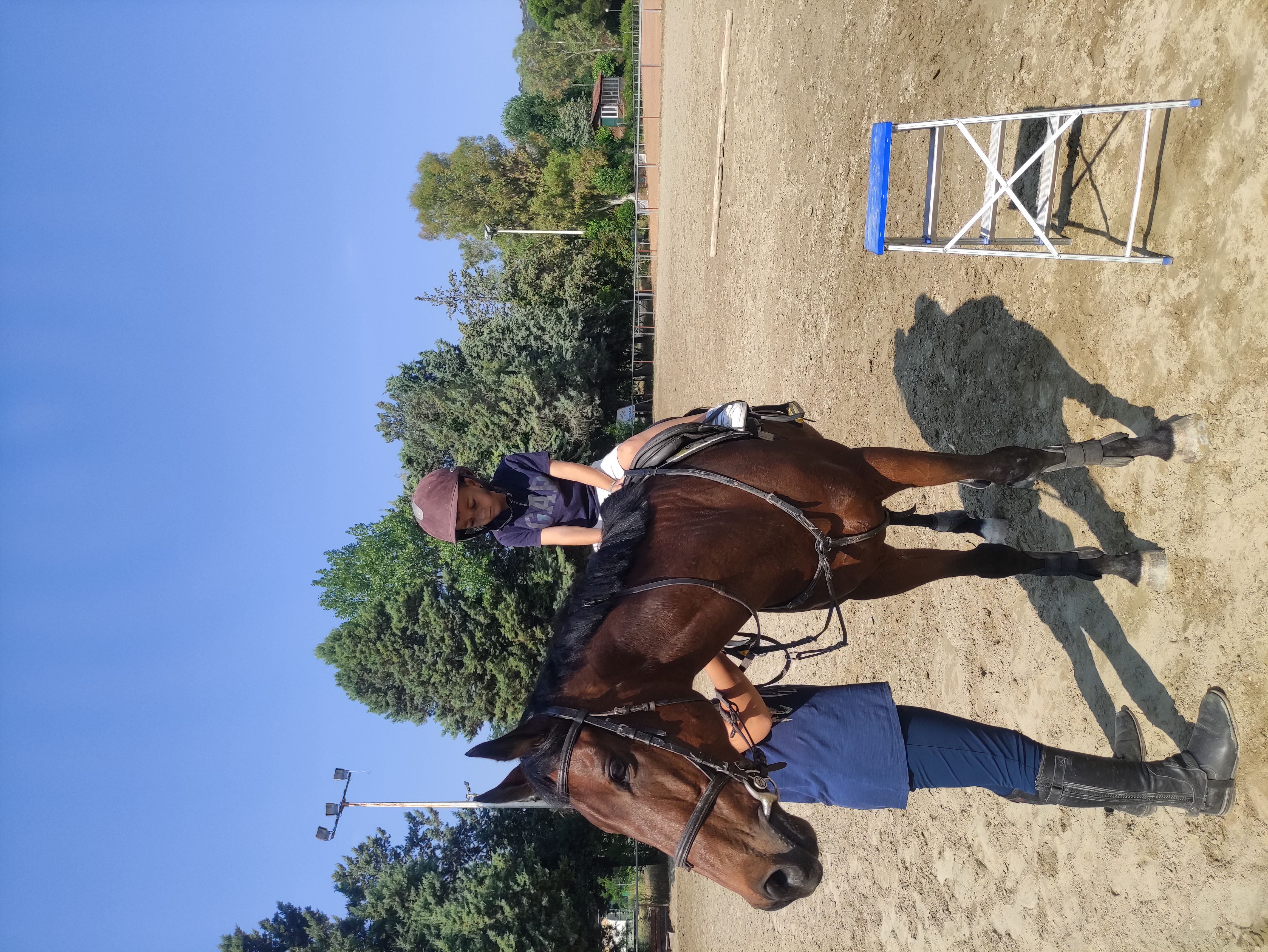 gs2023-353-ippasia-008