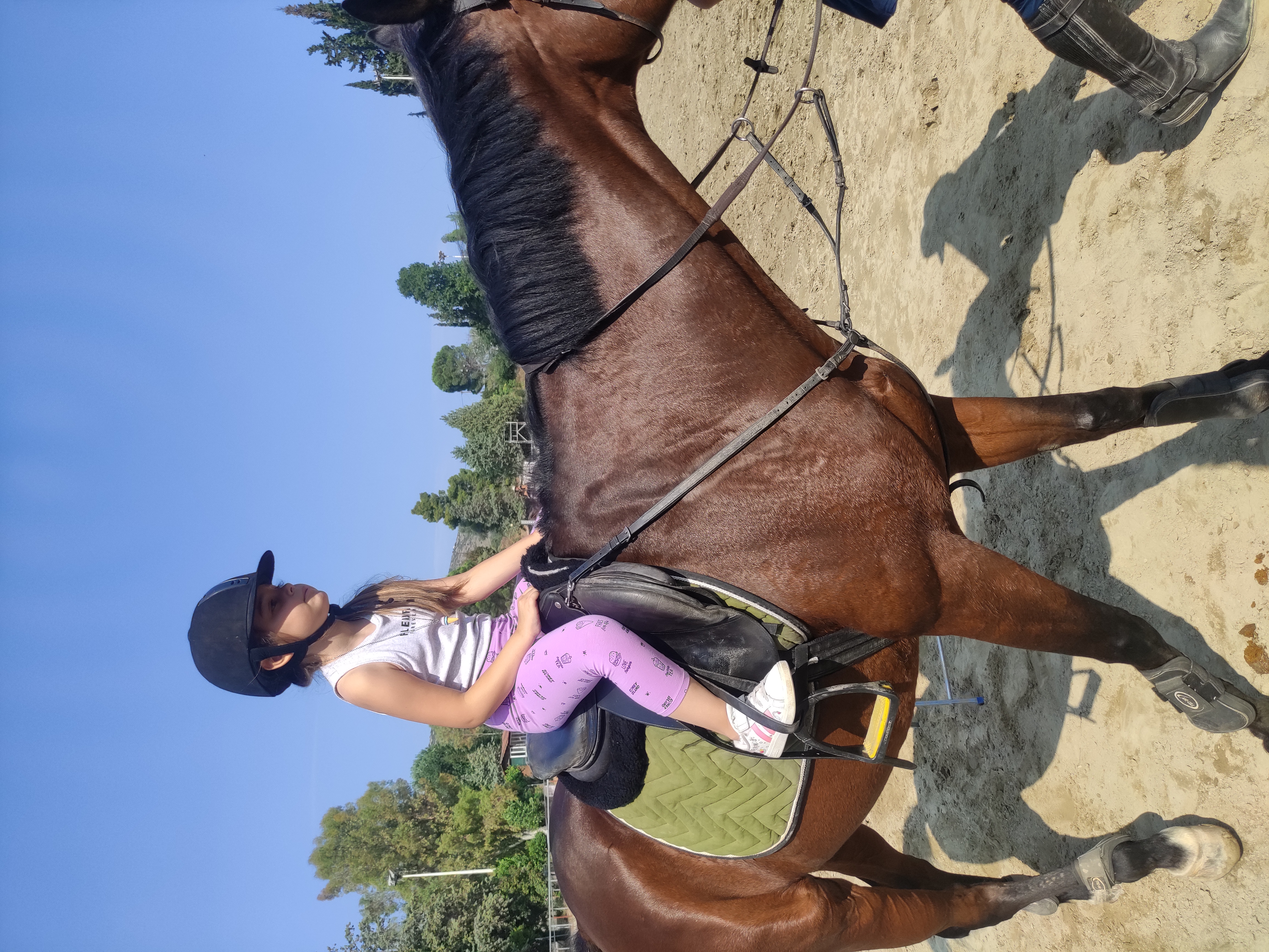 gs2023-353-ippasia-010