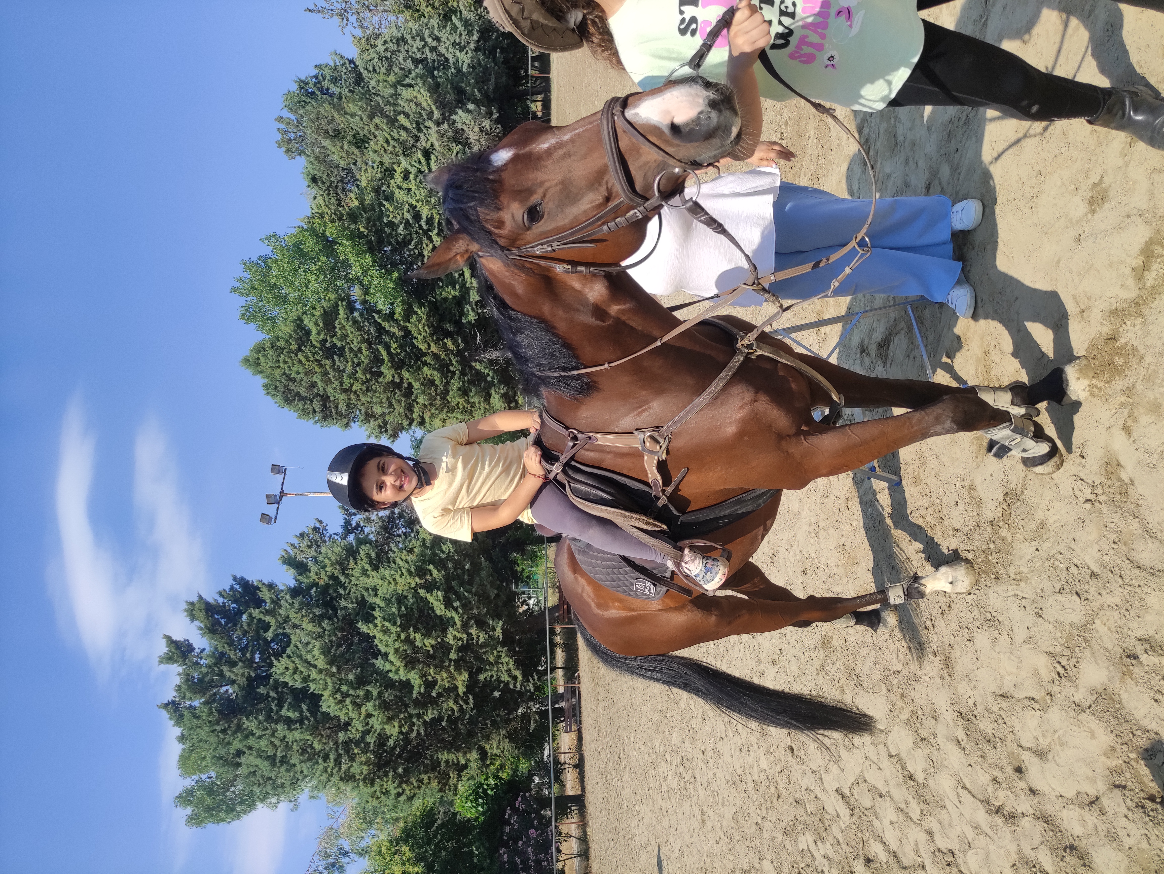 gs2023-353-ippasia-022