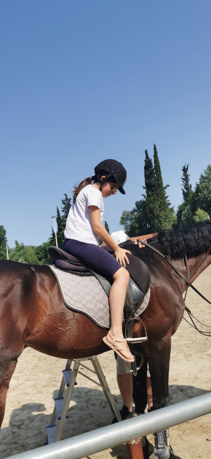 gs2023-353-ippasia-033