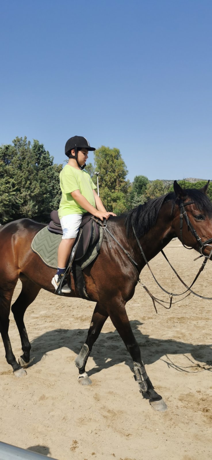 gs2023-353-ippasia-039