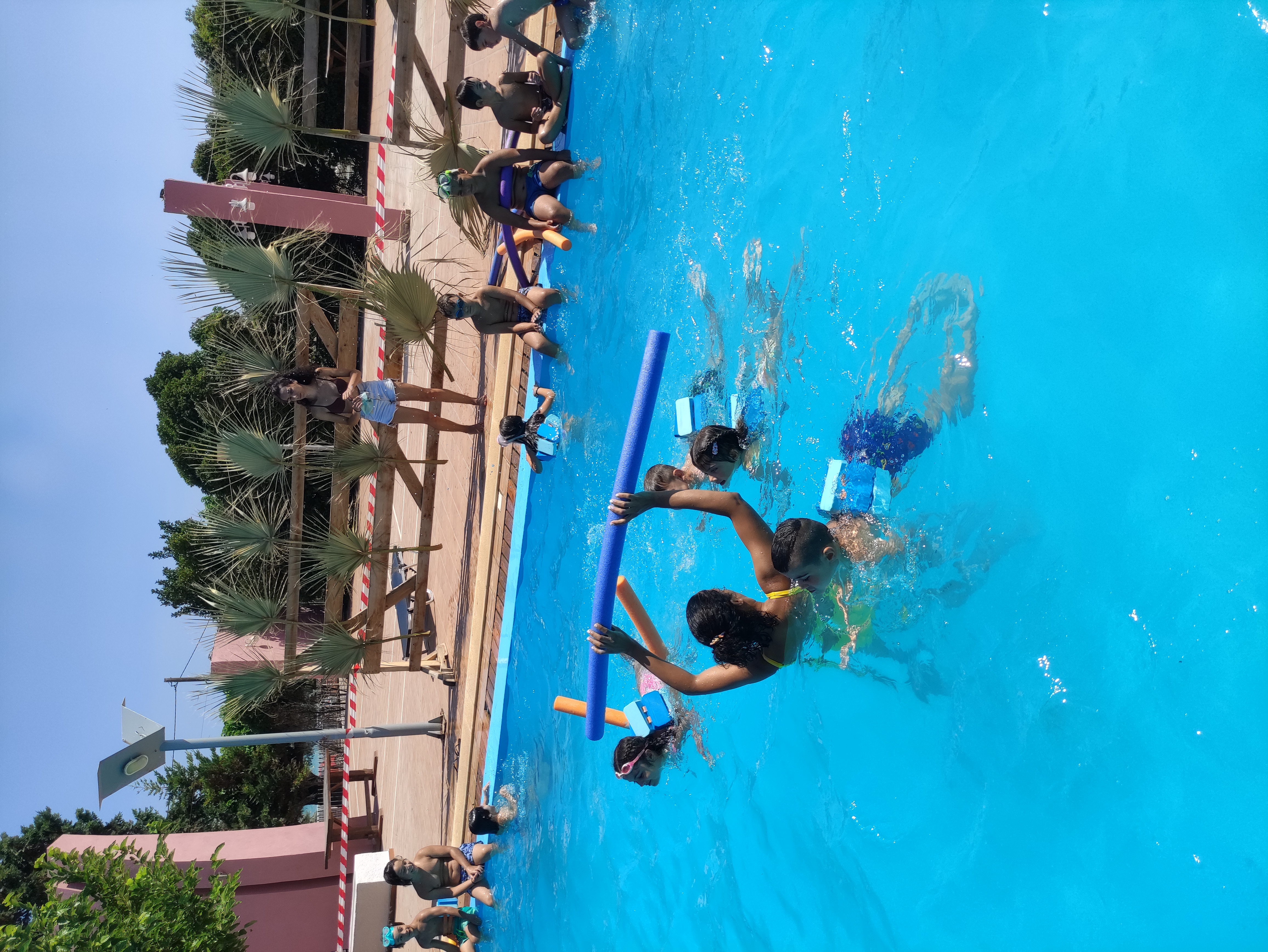 gs2023-362-kolimpi-005