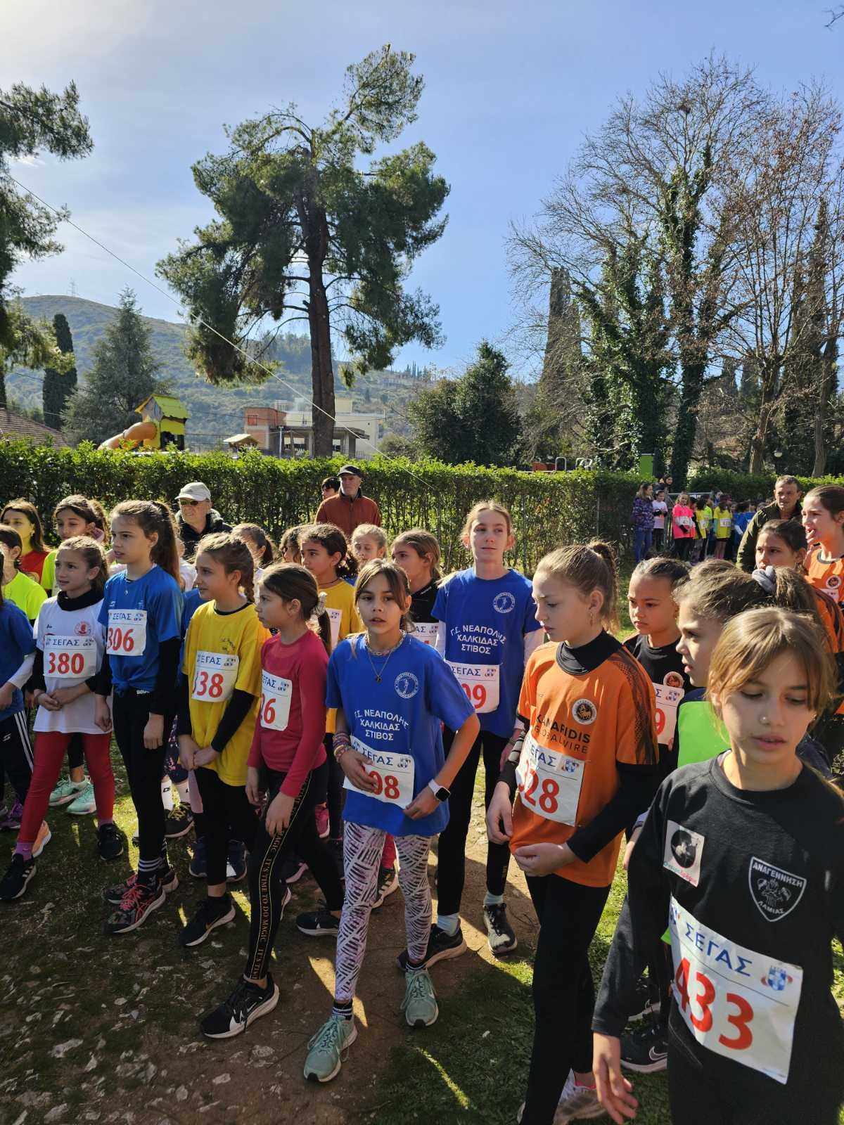 gs2024-373-aliartos-013