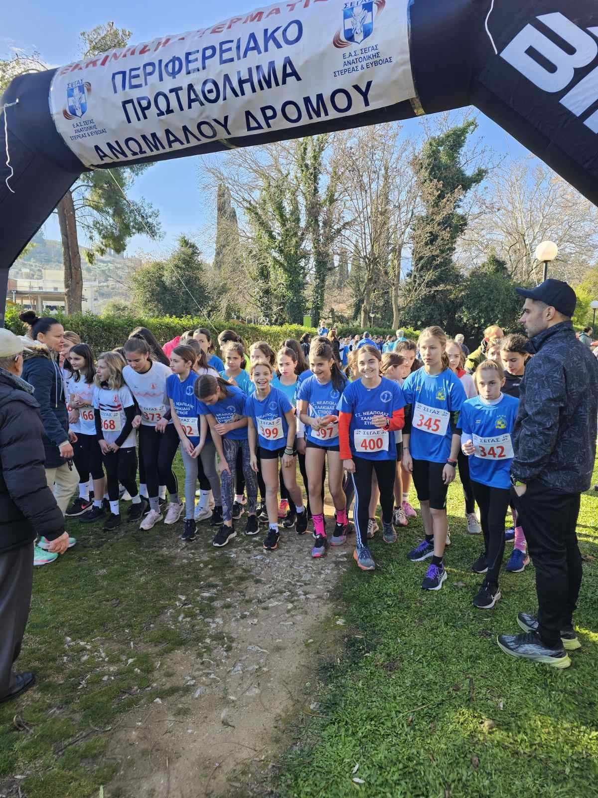 gs2024-373-aliartos-021