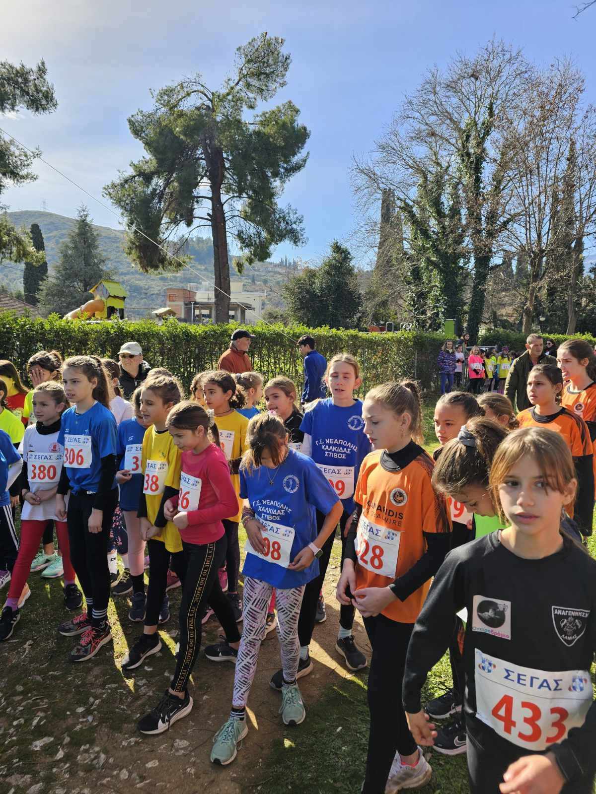 gs2024-373-aliartos-022