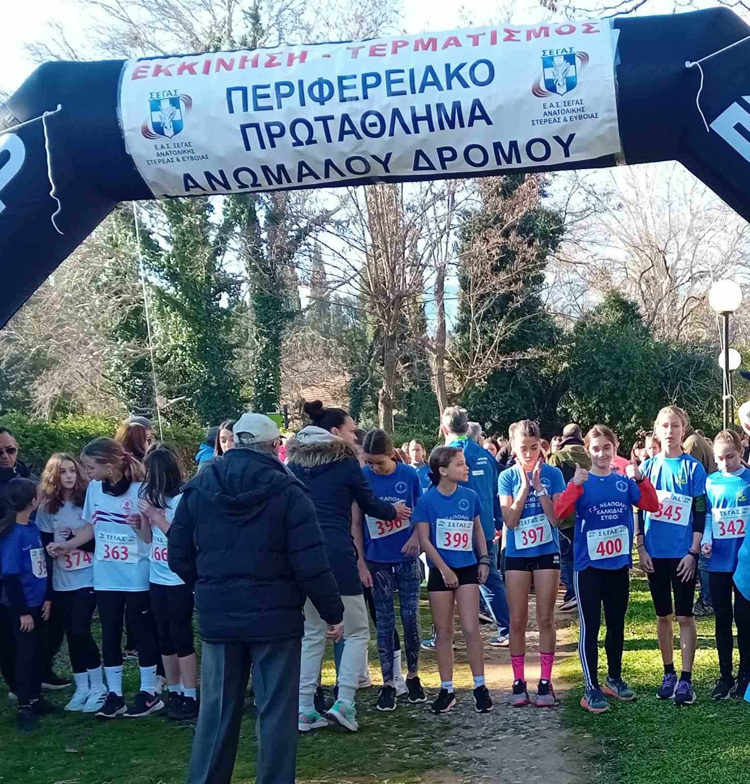 gs2024-373-aliartos-028