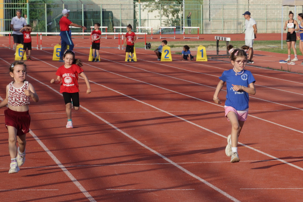 gs2024-391-vraimakis_2024_1-033