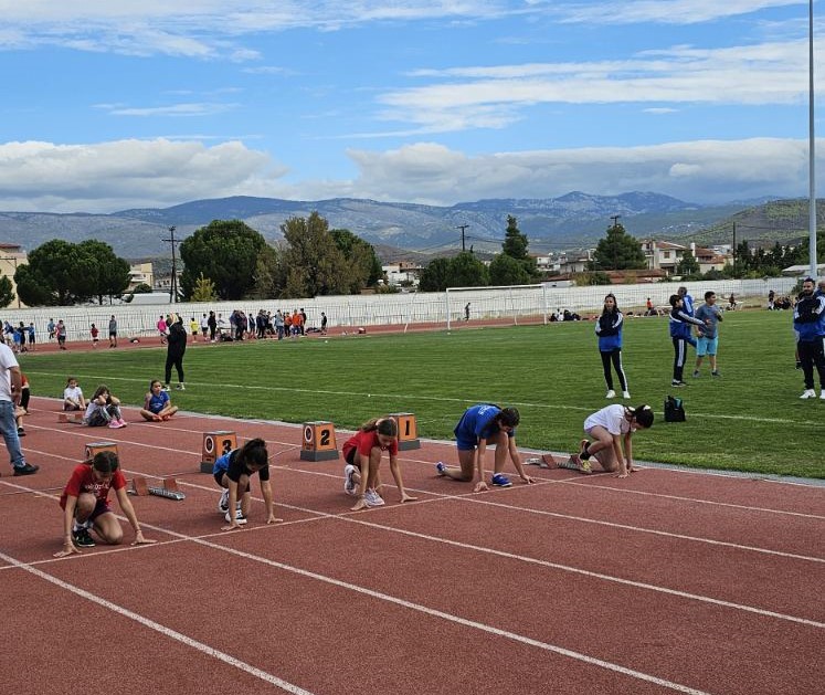 gs2024-400-riptiko1-017