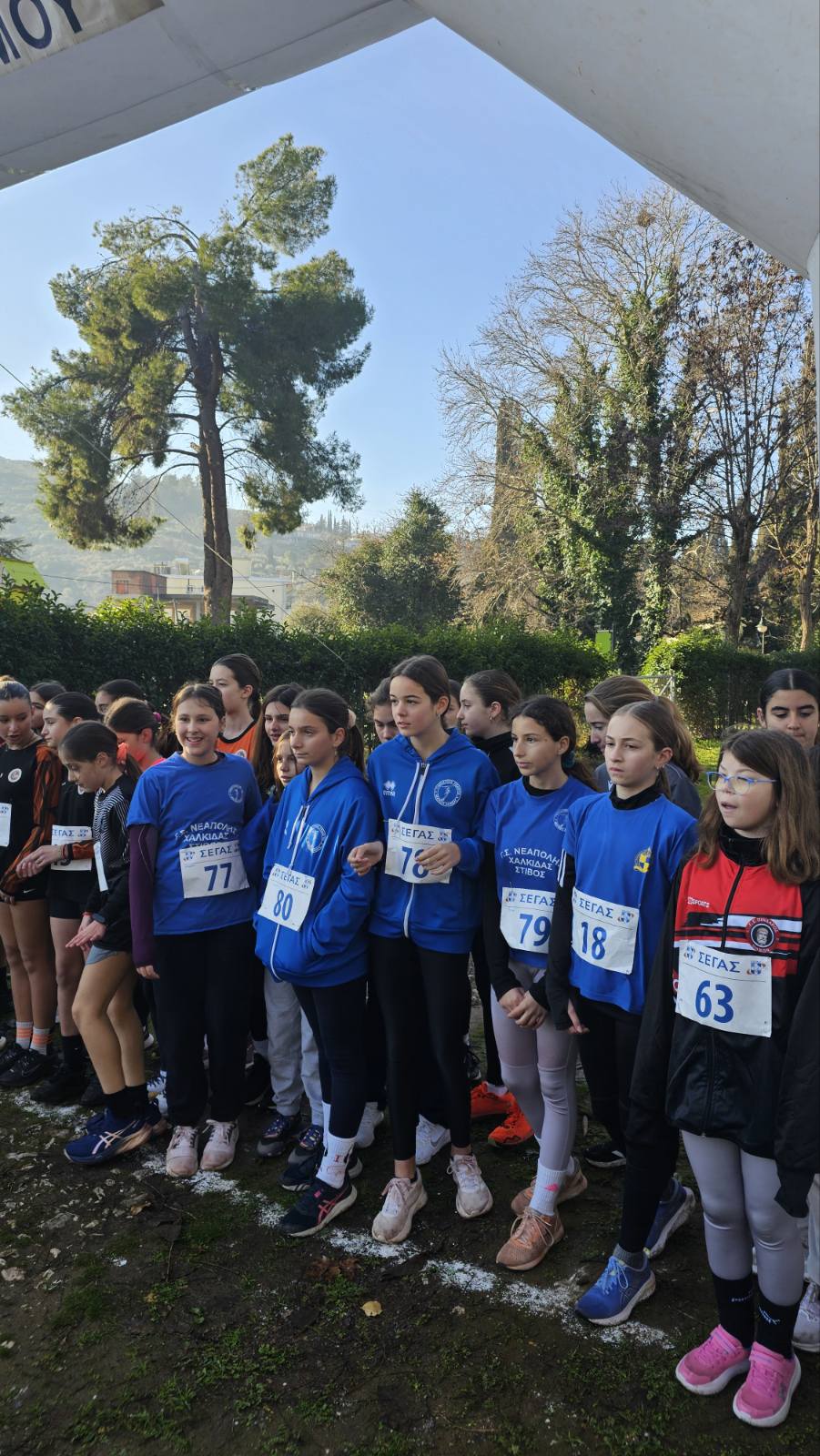 gs2025-403-anomalou_dromou_aliatros-004