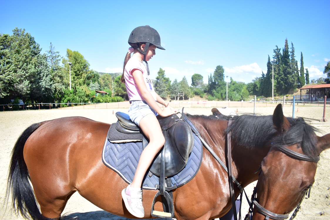 ippasia_camp_neapolis (17)