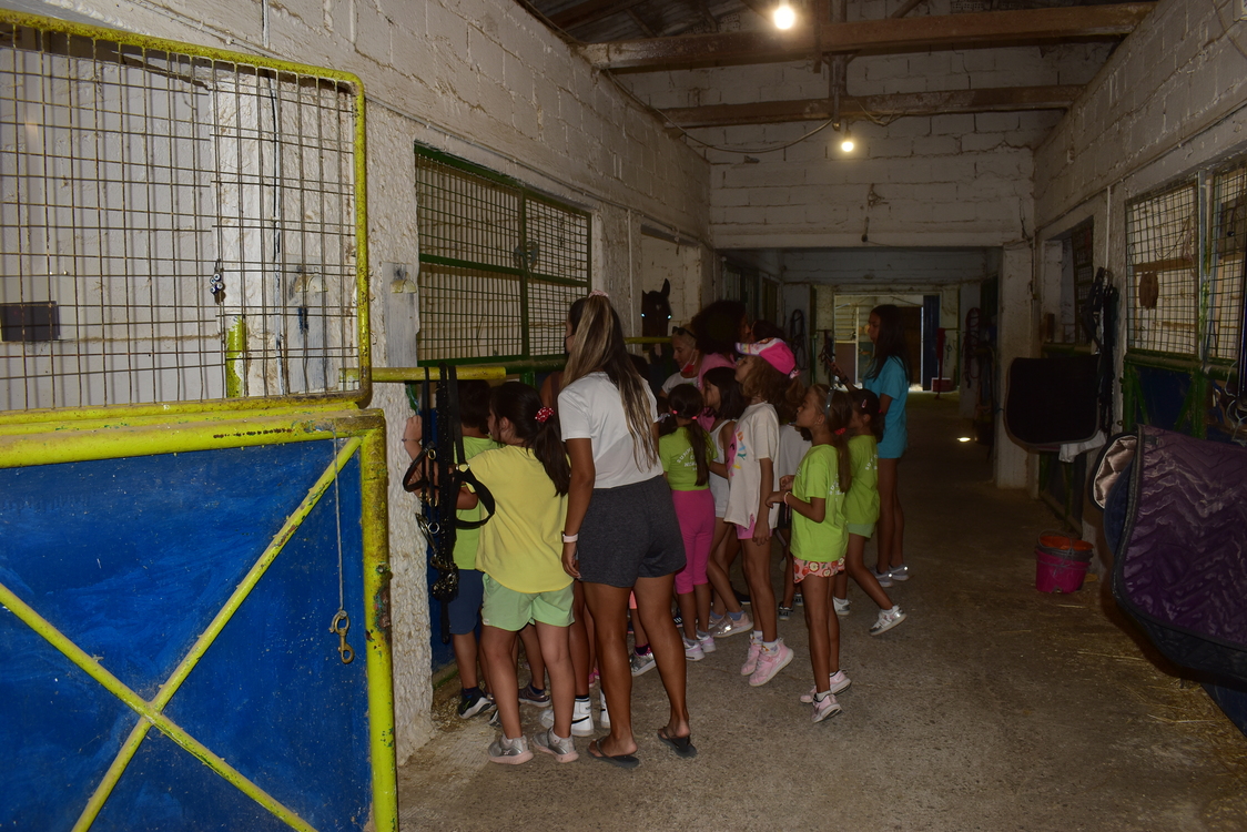 ippasia_camp_neapolis (34)