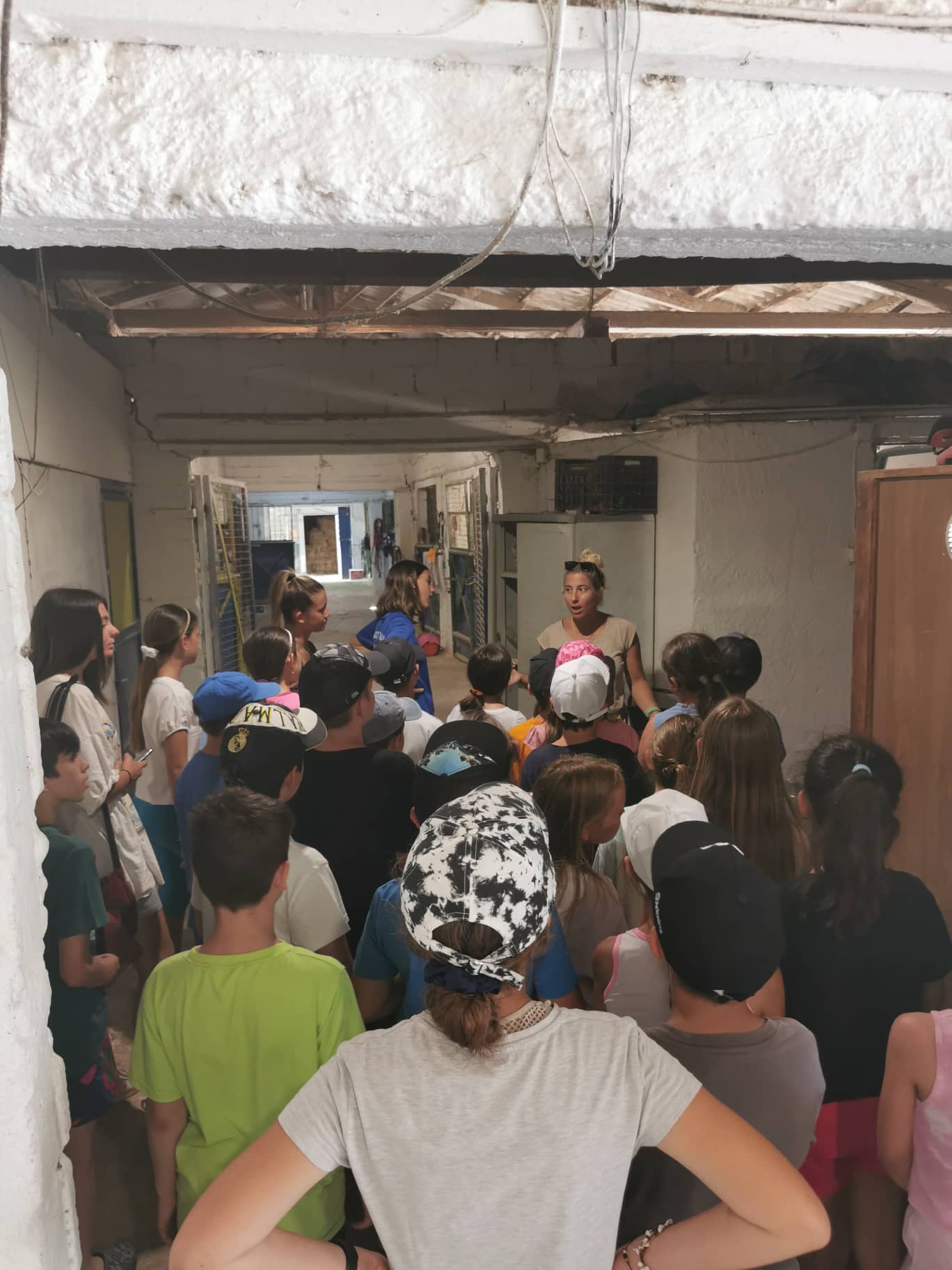 ippasia_camp_neapolis (4)